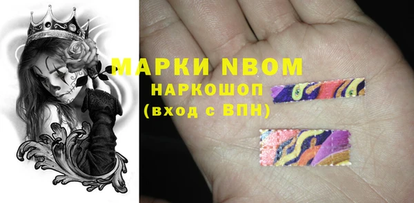 apvp Алексин