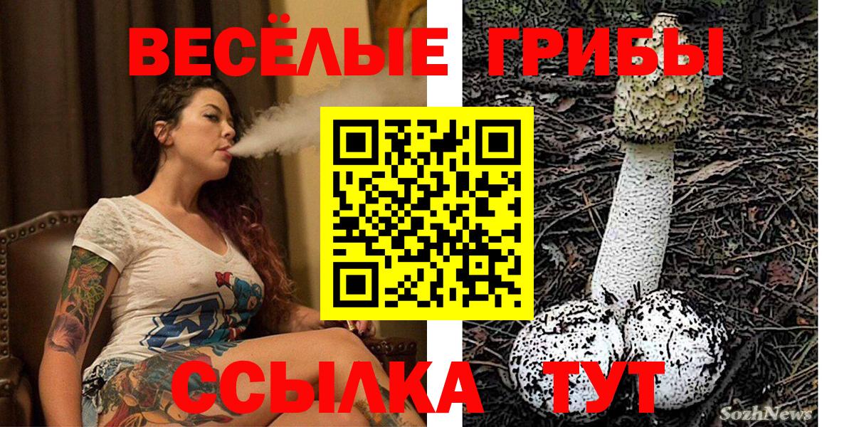 Псилоцибиновые грибы Cubensis Губаха