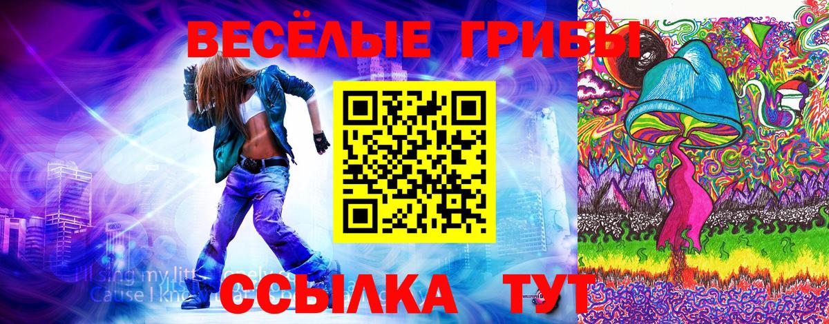 Галлюциногенные грибы ЛСД  Вход с VPN  Галлюциногенные грибы Magic Shrooms  Губаха 