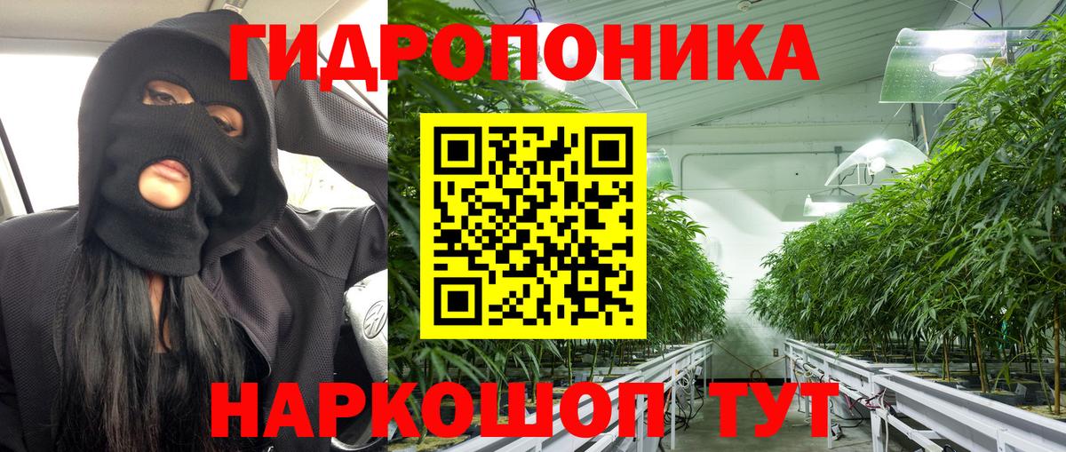 Конопля MAZAR  Вход с VPN  Конопля Bruce Banner  Губаха  МАРИХУАНА планчик 